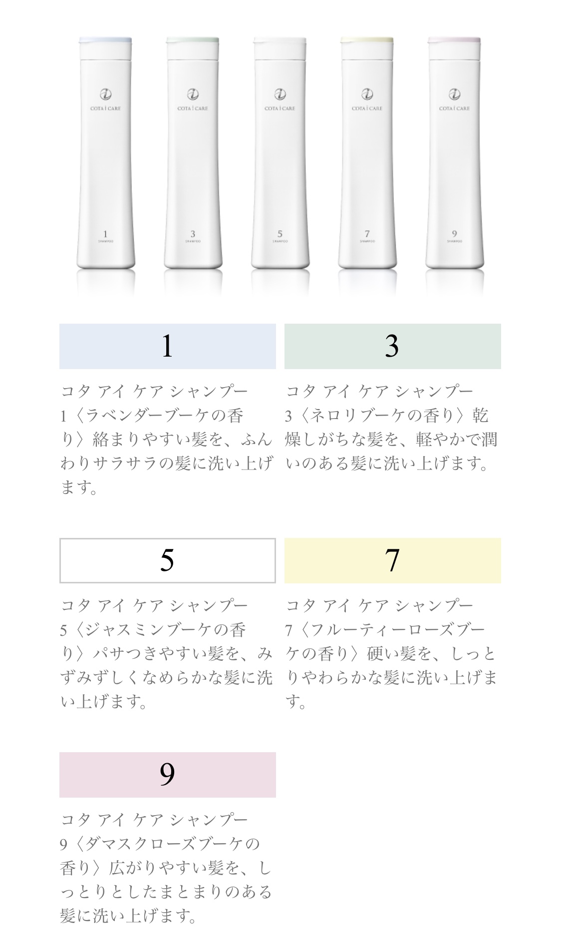 紹介画像