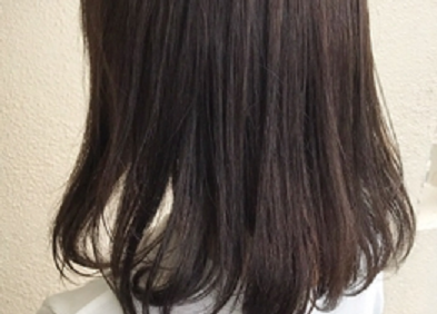 紹介画像