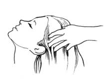 紹介画像