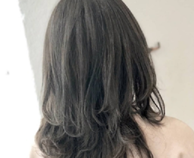 紹介画像